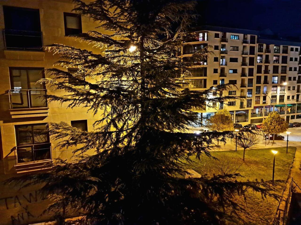 Apartamento Puente Romano Ourense Extérieur photo